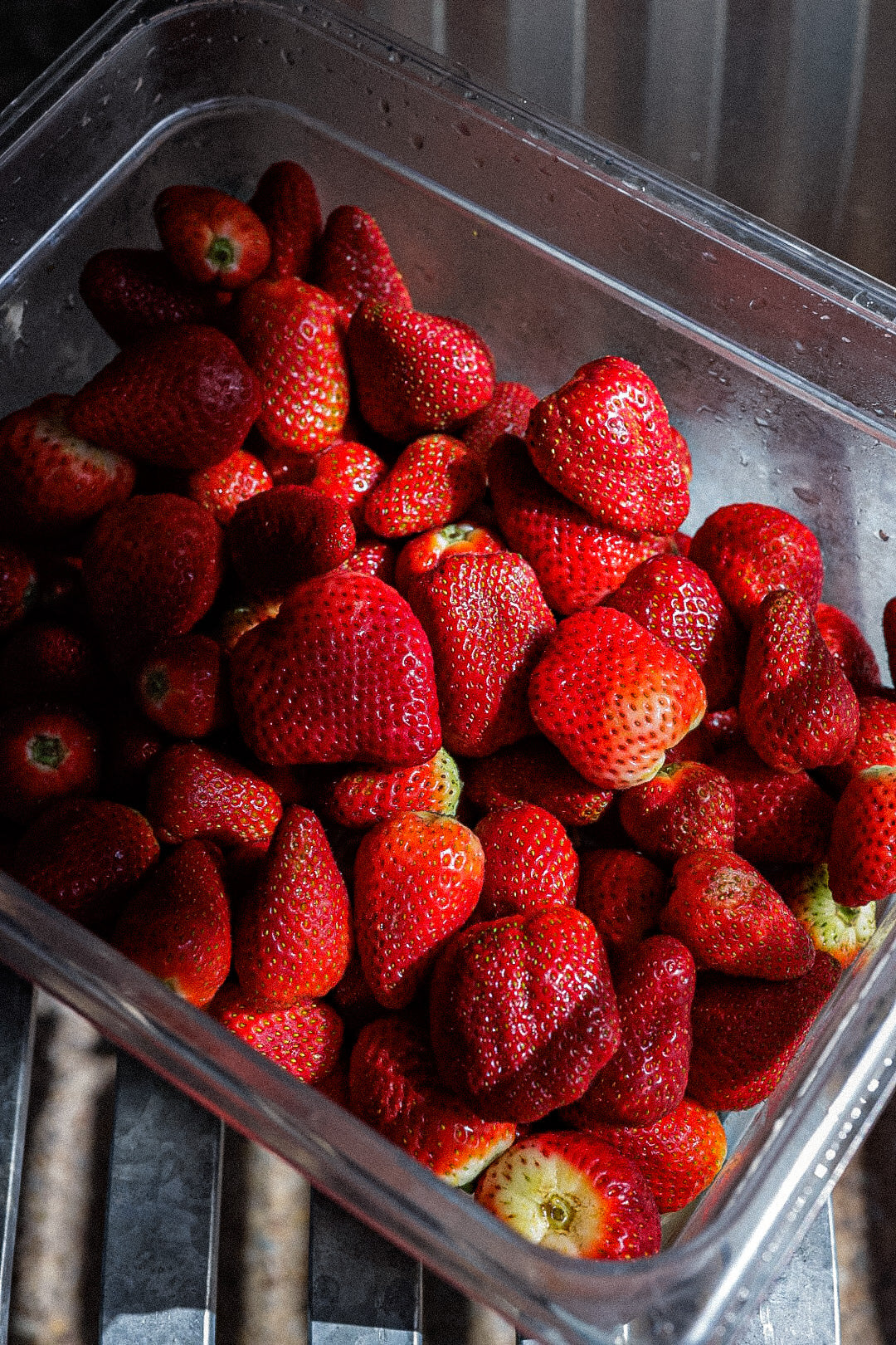 Strawberry Sorbet